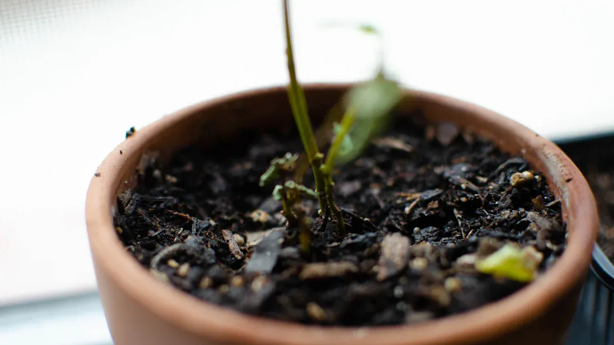 Post-Transplant Care