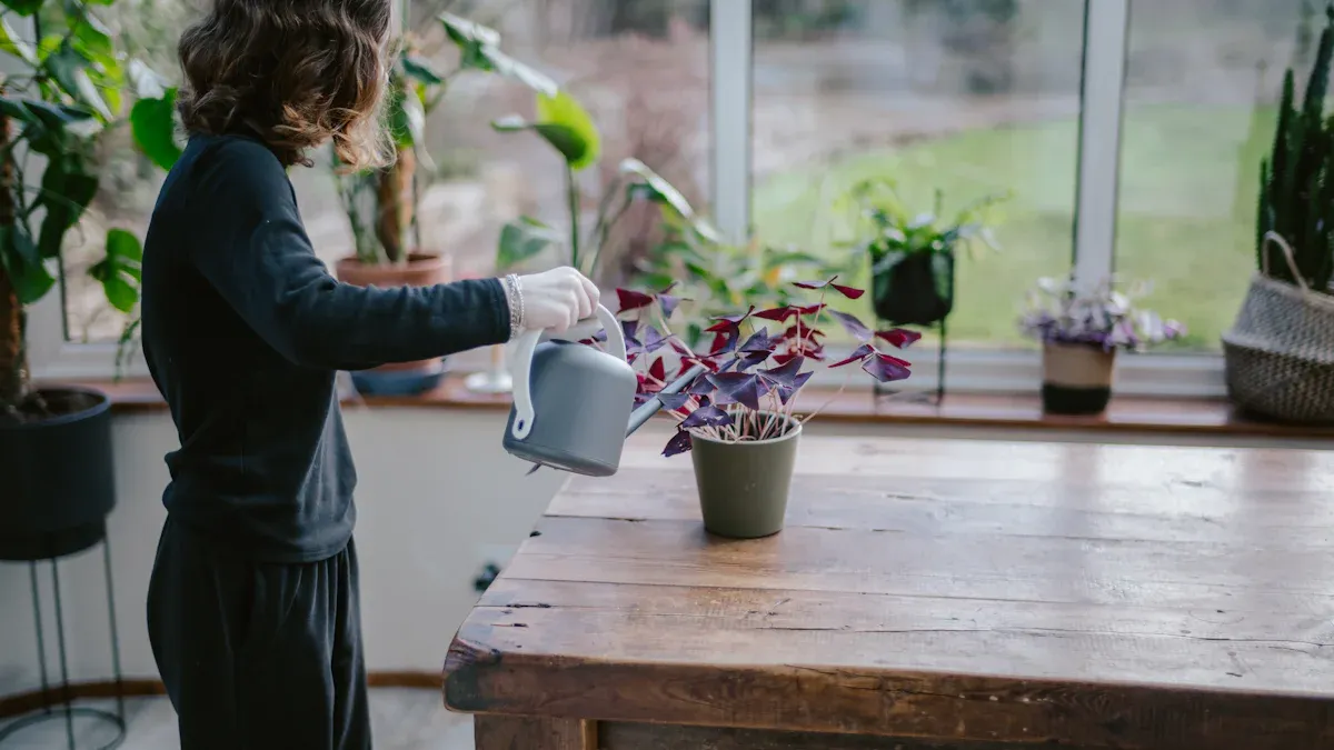WATERING & FERTILIZATION