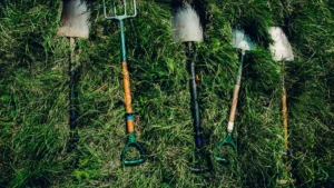 Different Types Of Shovels: Digging & Scooping Tools