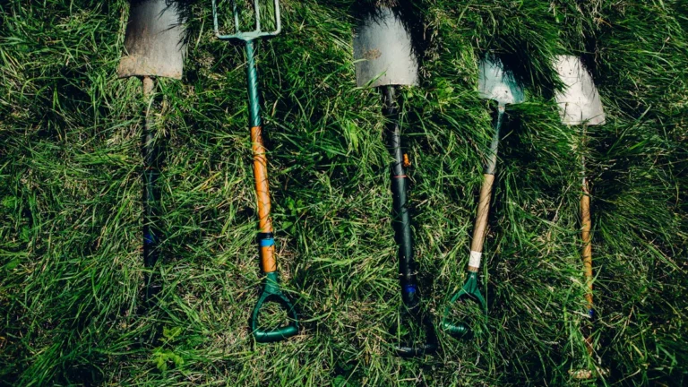 Different Types Of Shovels: Digging & Scooping Tools