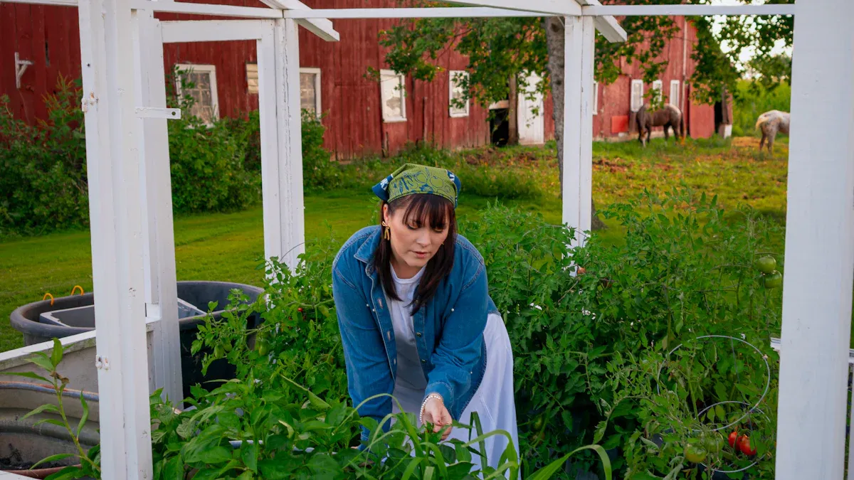 Practical Uses for Wood Ash: Soil Amendment