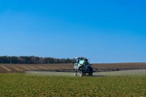 10 step majesty palm fertilizer