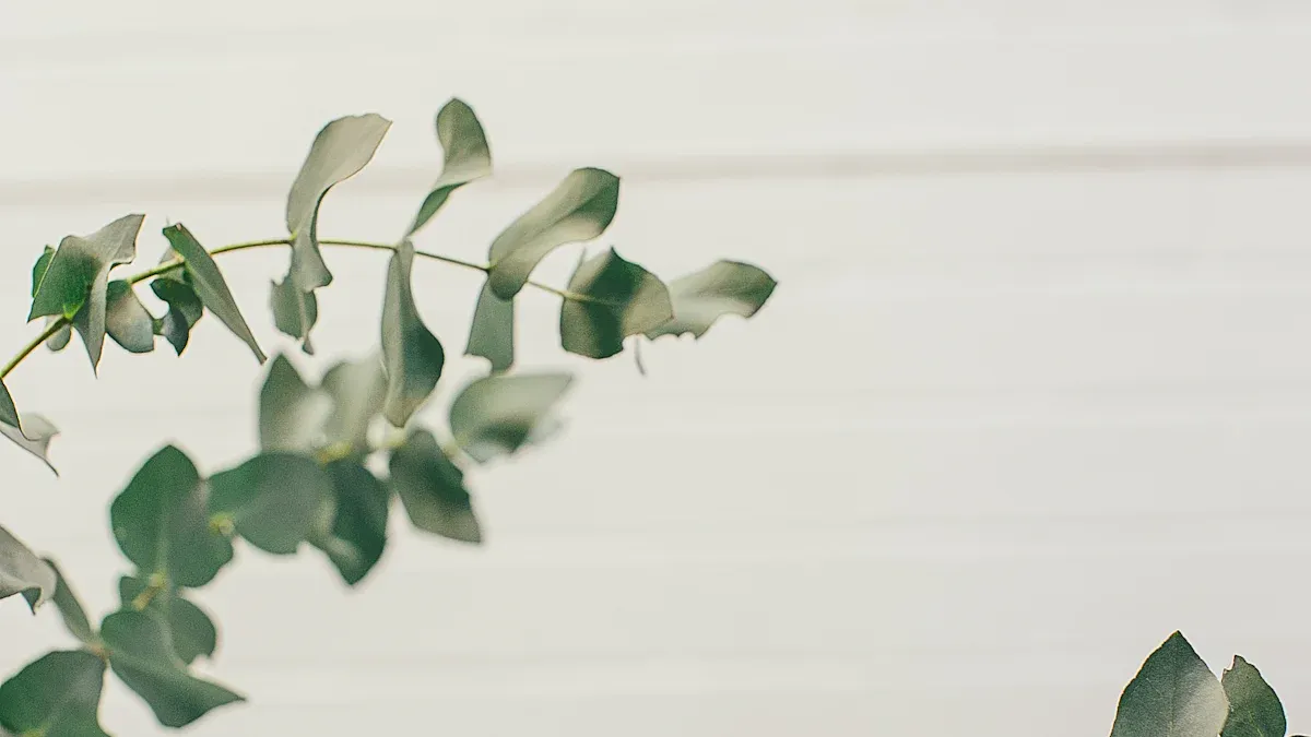 Eucalyptus Plant: Types, How to Grow & Essential Care