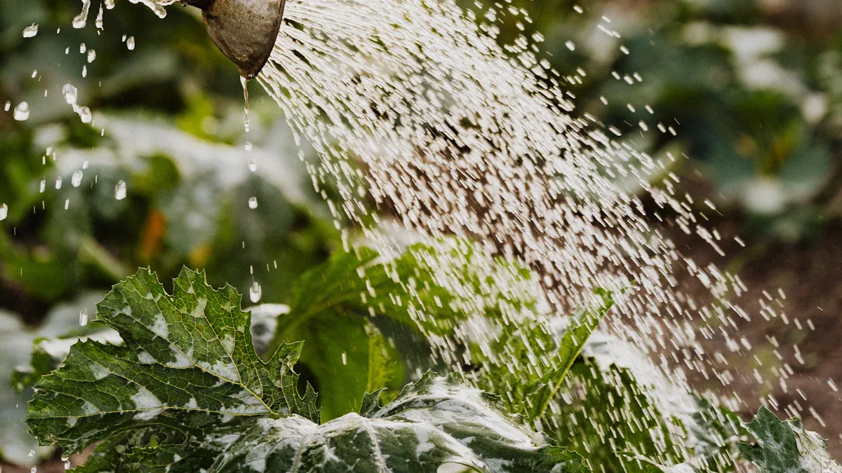 Nourishment and Maintenance Tips