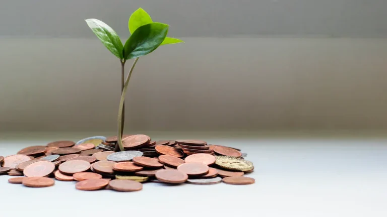 Money Plant : Types , How to Care and Grow