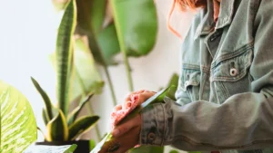 Indoor Plant Care: 15 Expert Tips for Thriving Houseplants