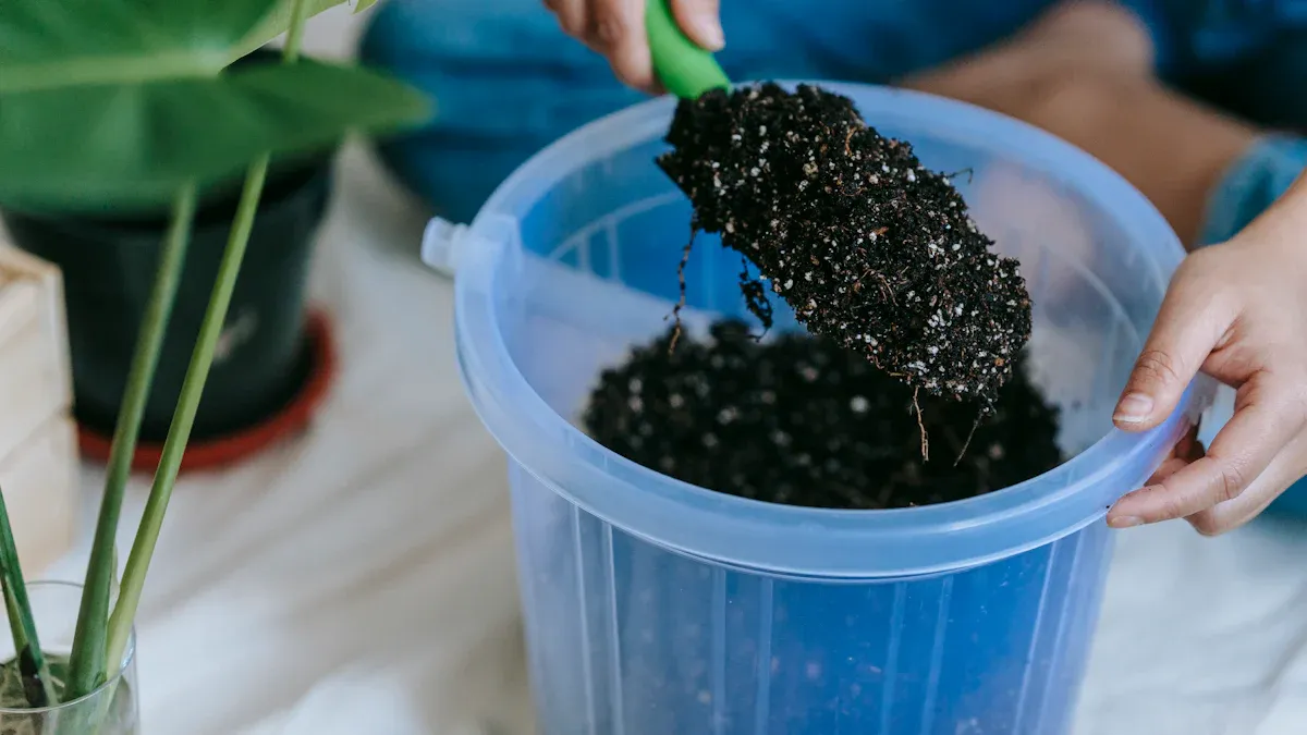 Plant and Soil: Essential Ratios for 10 Amazing Container Gardens