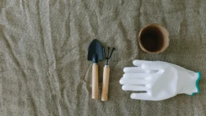 How to Start a Garden: Essential Tools, Soil Prep, and Planting Tips