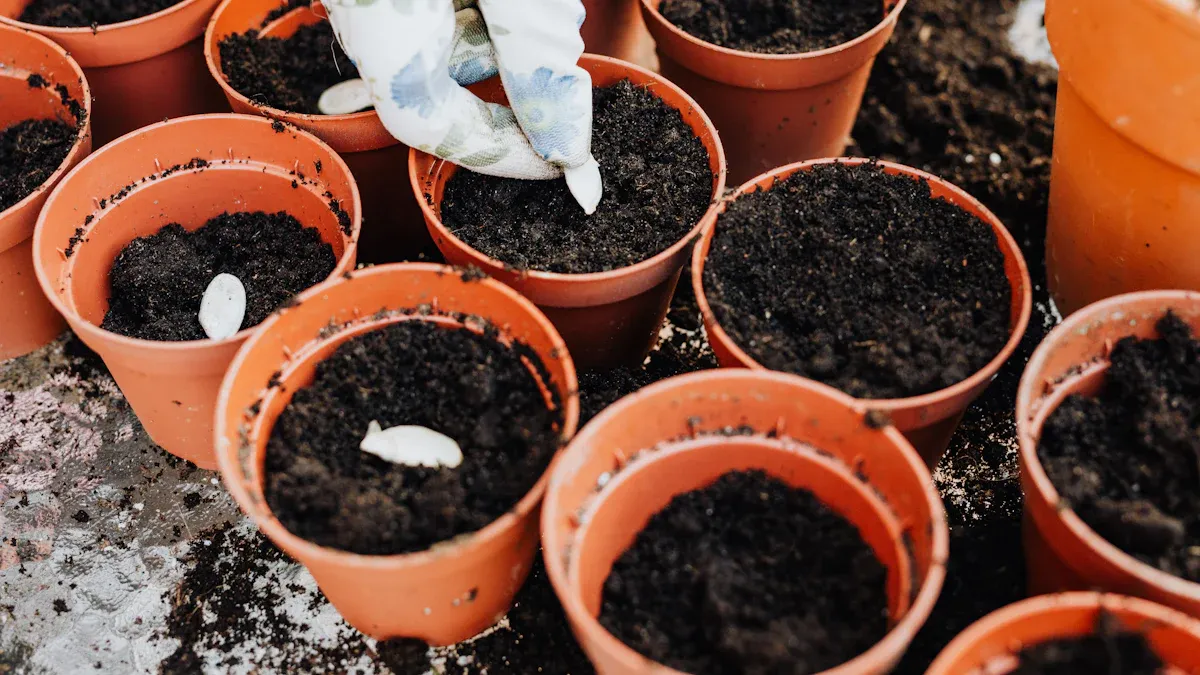 General Tips for Thriving Container Gardens