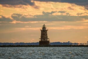 optimal basil hydration method