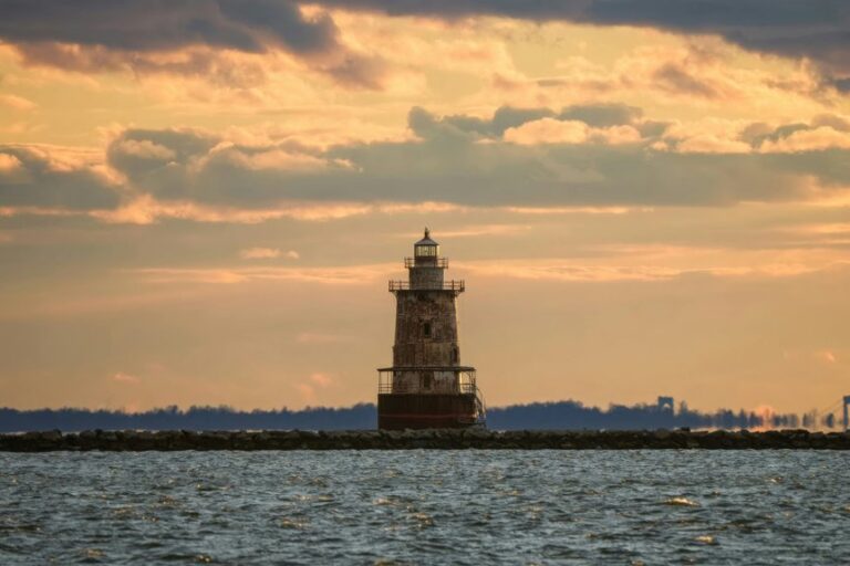 optimal basil hydration method