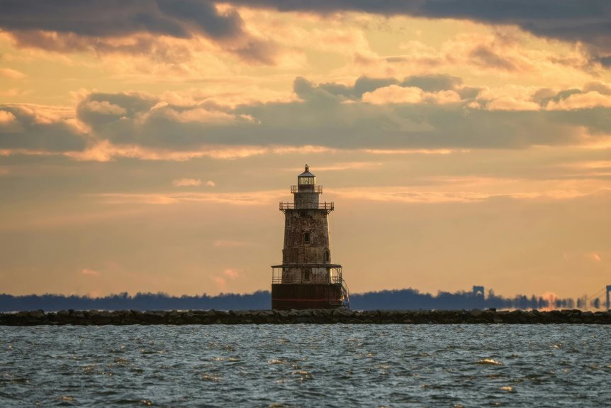 optimal basil hydration method