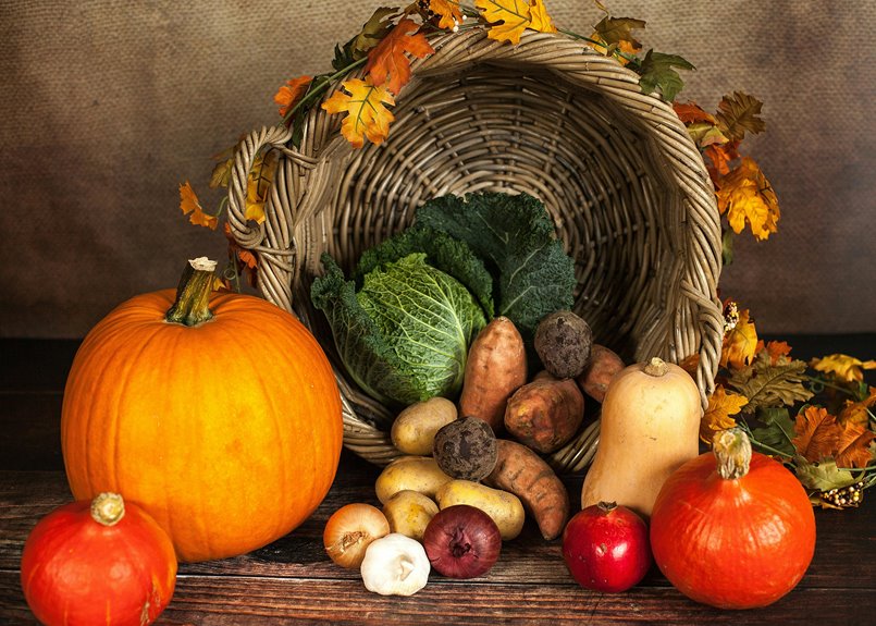 optimal fertilizers for potatoes