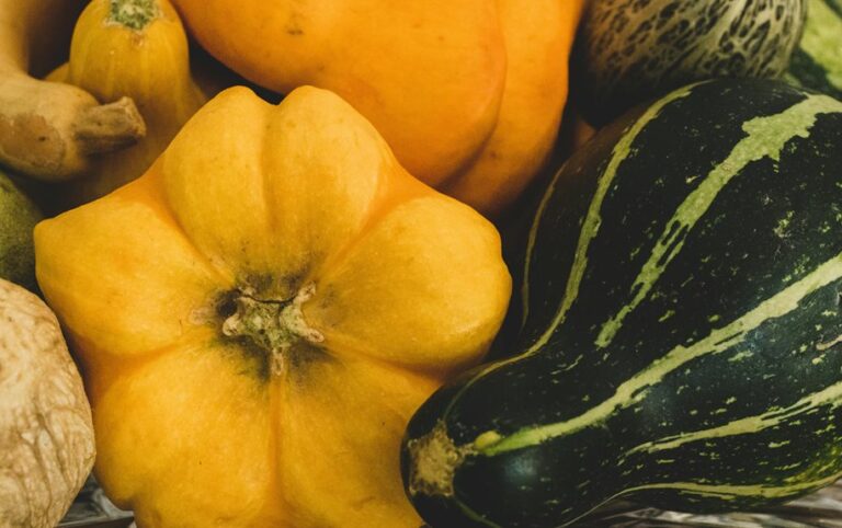 optimal fertilizers for pumpkins