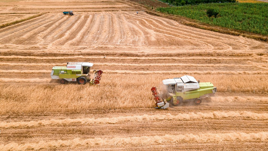 optimal soils for blueberries
