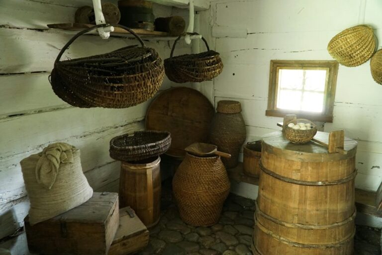 optimal soils for money trees