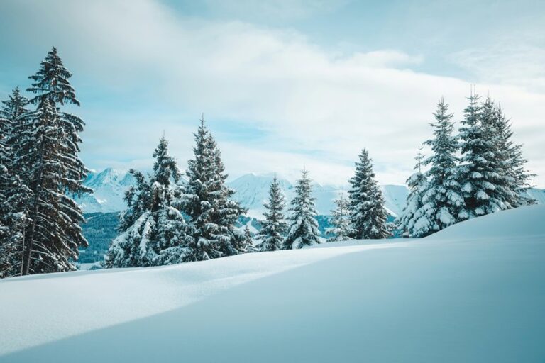 top 24 inch snowblowers