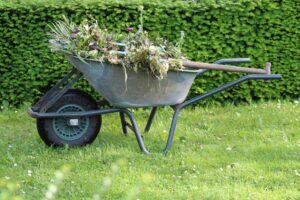 top garden wheelbarrows 2026