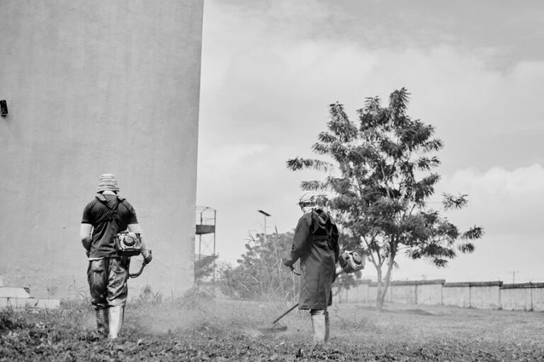 top gardening tools 2025