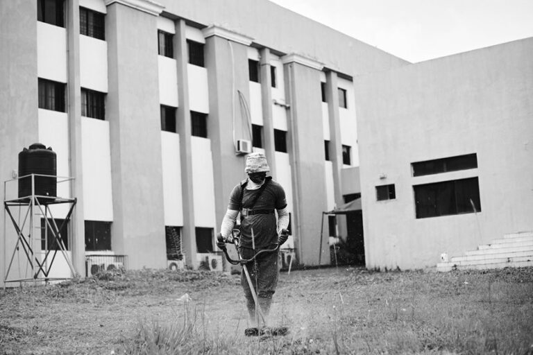 top gas hedge trimmers