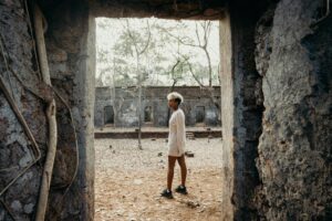 top indoor plant stands