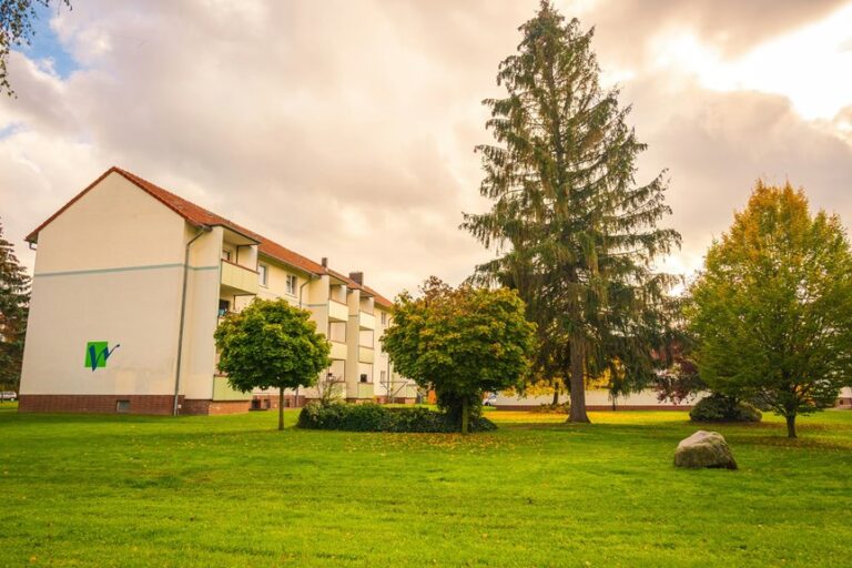 top lawn spreader picks