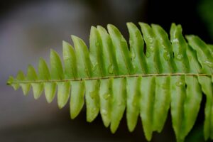 top plant moisture meters