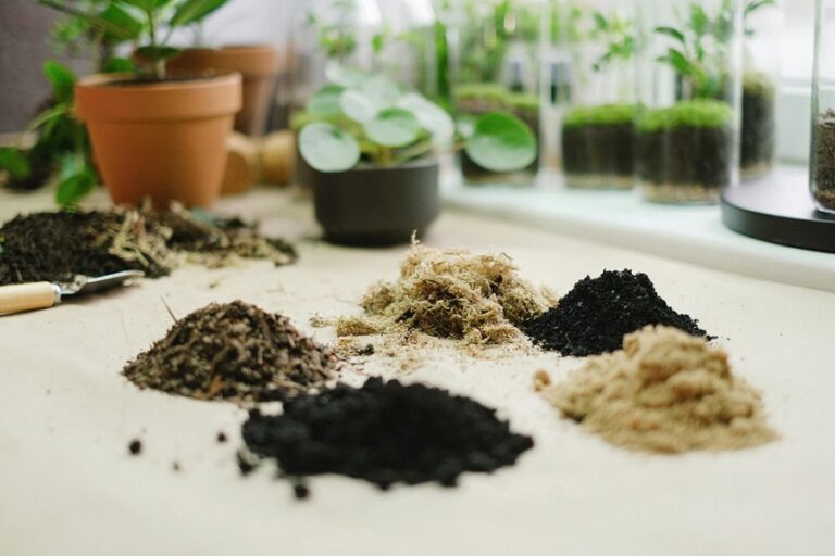 top potting soils reviewed