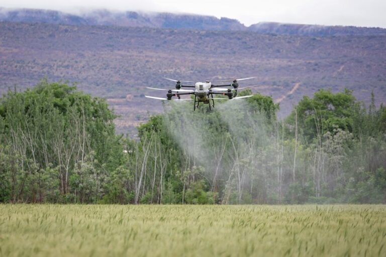 top utv sprayers reviewed
