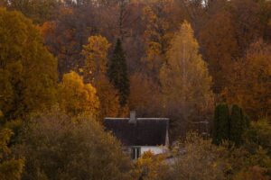 tropical oasis home decor