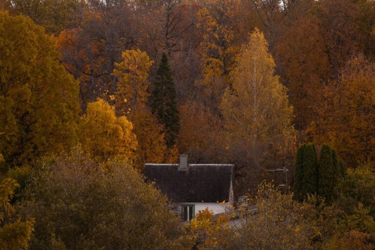 tropical oasis home decor