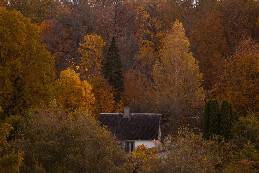 tropical oasis home decor