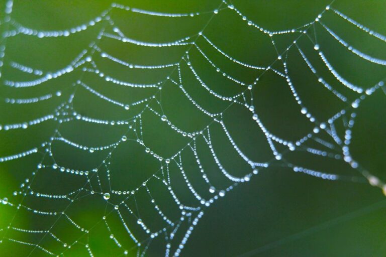 wildlife friendly garden protection solutions