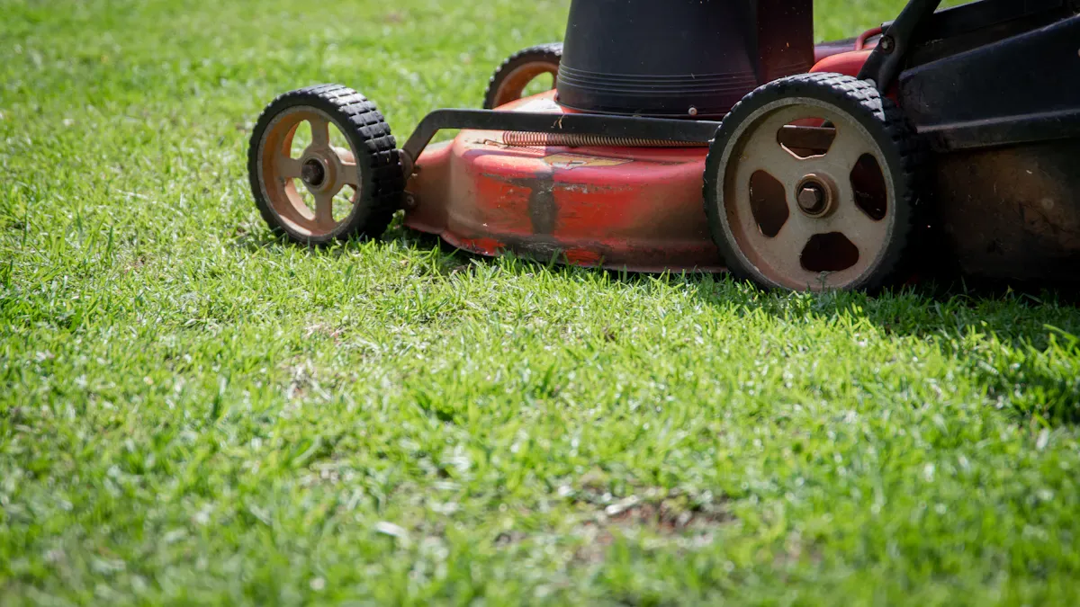 How Often Should You Mow Your Lawn