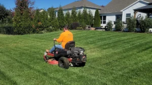 How Often Should You Mow Your Lawn