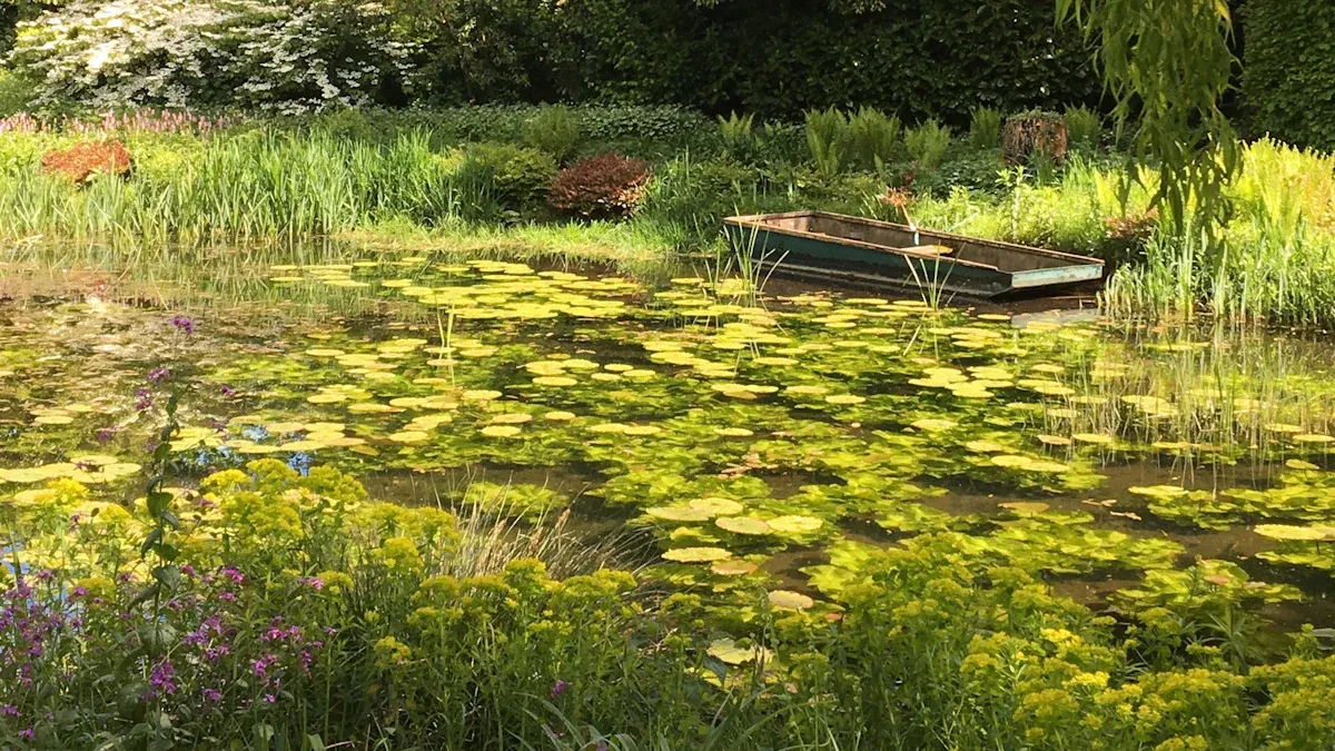 Benefits of Drought Resistant Plants