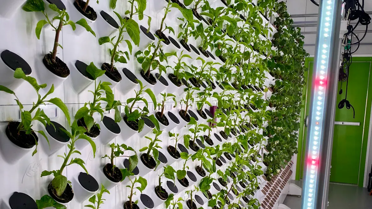 Garden Watering Systems: Save Time & Water