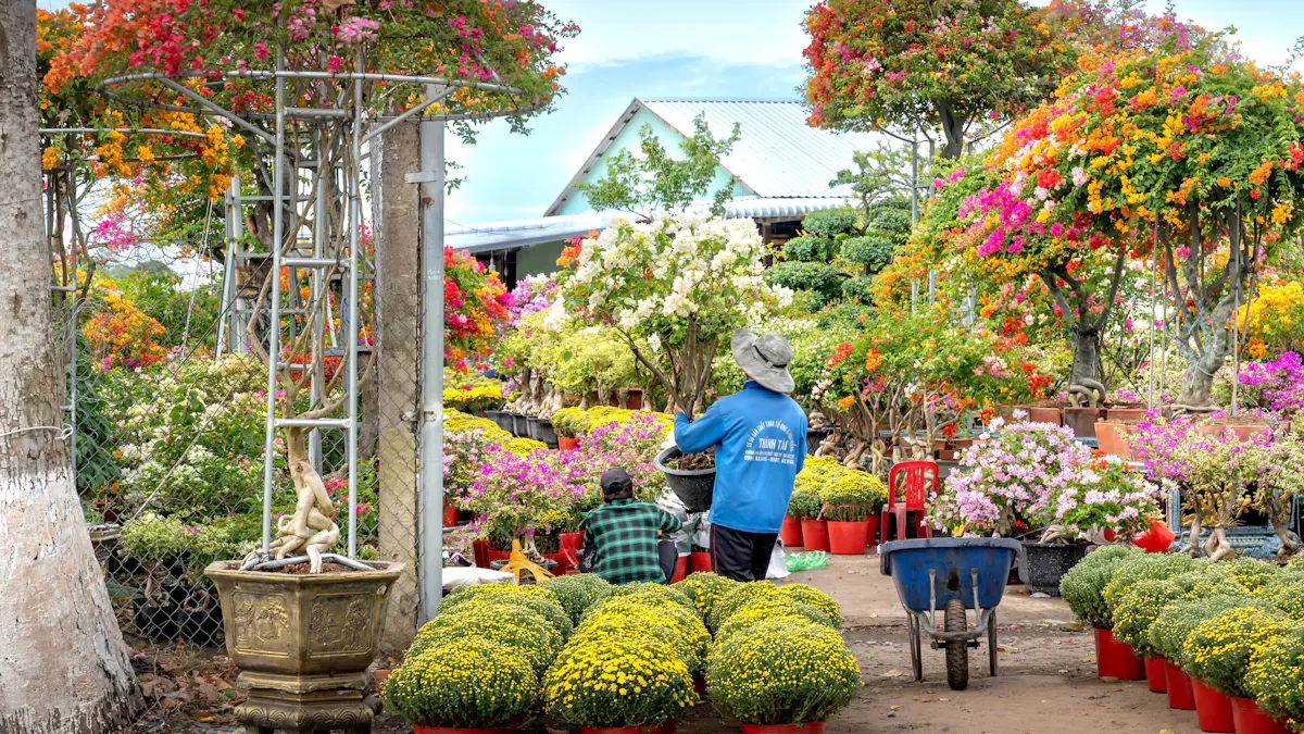 Perennial Garden Plants: Ideas to Keep Your Garden Colorful