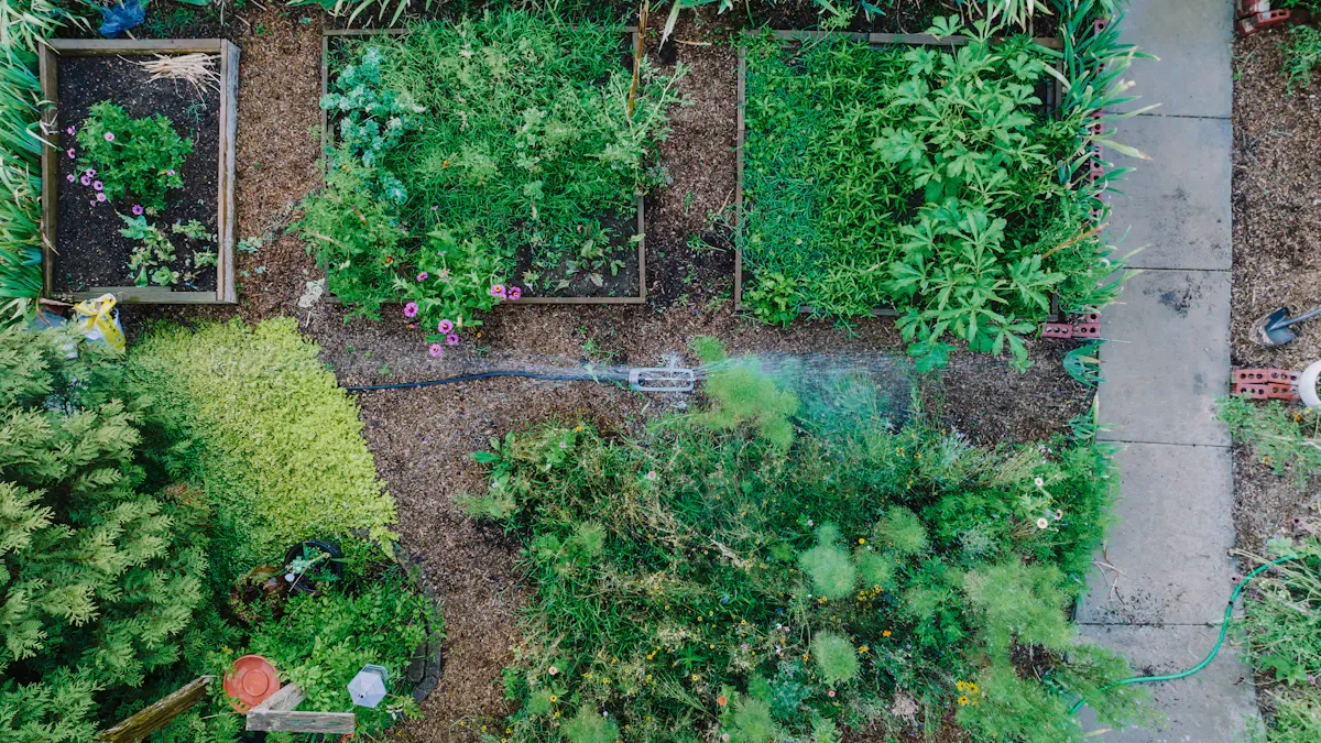 25 Creative Vegetable Garden Ideas for Beginners and Experts